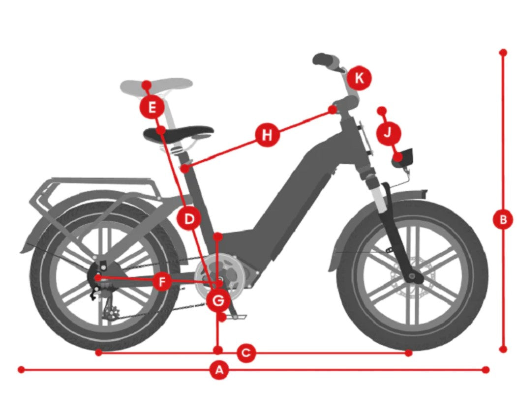 Himiway Big Dog Electric Cargo Bike