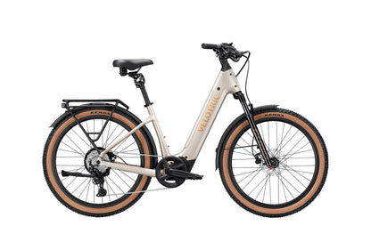 Velotric Discover M