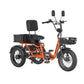 Meet One Breeze Pro 2.0 Trike