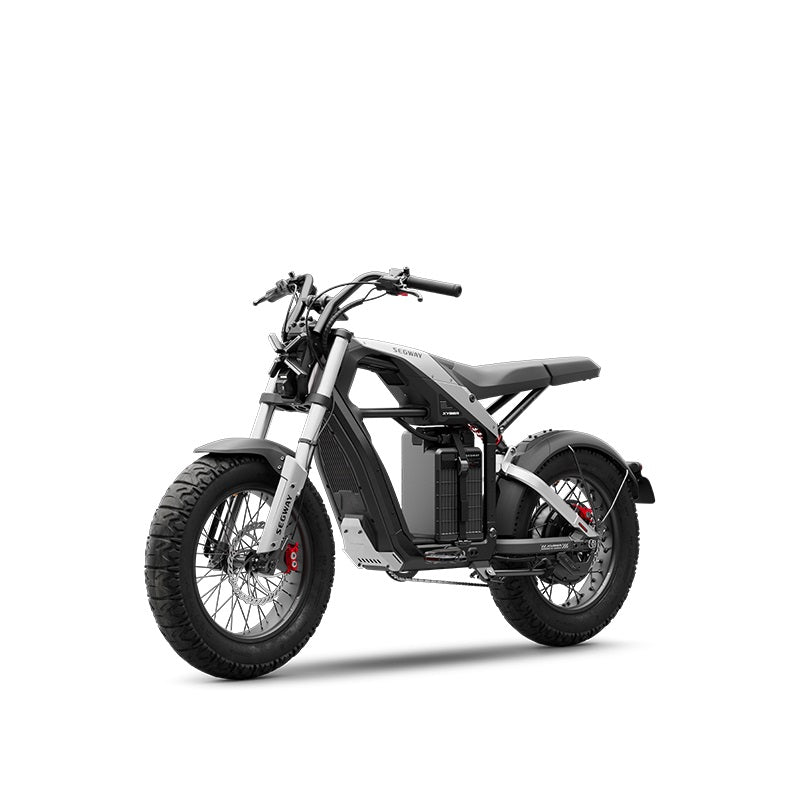 Segway Xyber