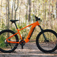 Velotric Summit 1