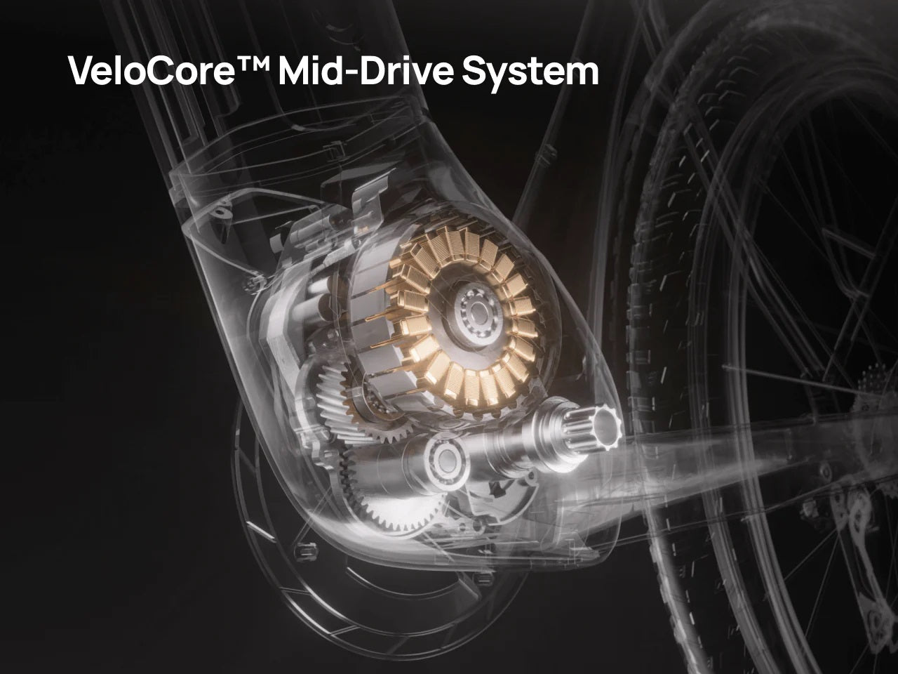Velotric Discover M
