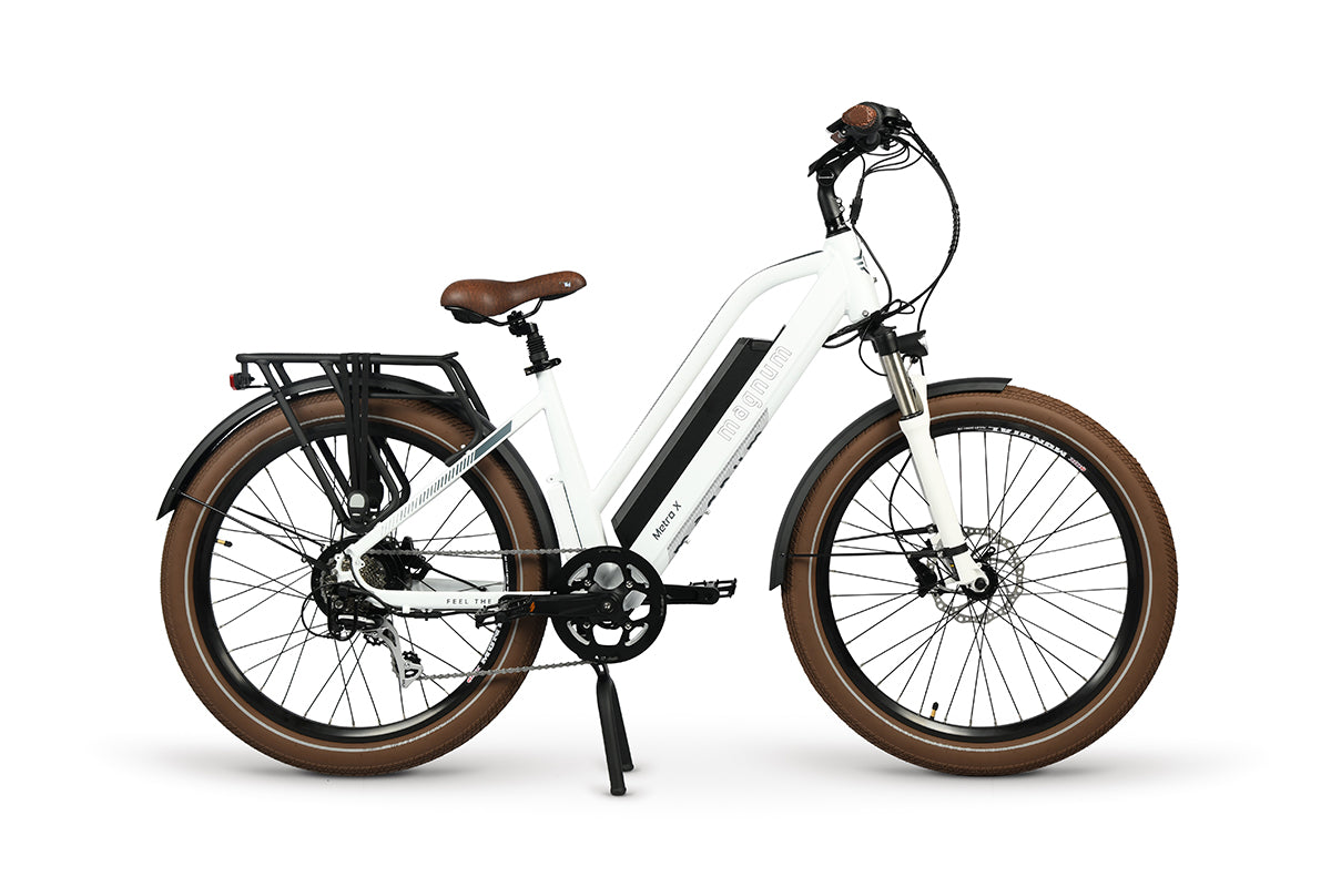 Voltaire discount electric bikes